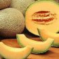 10 PCS Seeds Sweet Melon Redish Orange Inside White Skin Fruit