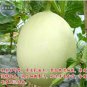 10 PCS Seeds Sweet Melon Redish Orange Inside White Skin Fruit