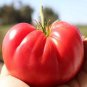 300 PCS Seeds Tomato American Imported Long Pink Fruit Vegetable