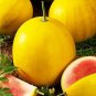 100 PCS Seeds Watermelon Yellow Skin Red Inside