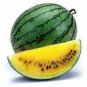 40 PCS Seeds Yellow Gift Watermelom