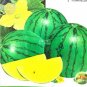 40 PCS Seeds Yellow Gift Watermelom