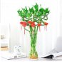 Lucky Bamboo Home Garden Decoration Perennial Indoor Plant 50 PCS Seeds