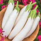 Long White Eggplants Organic Heirloom Vegetables 20 PCS Seeds Long White Eggplants Organic Heirloom Vegetables 20 PCS Seeds
