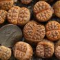 Lithops gracilidelineata Succulents Garden Plants 100 PCS Seeds