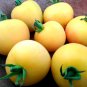 New Japanese Big Yellow Tomato 'Golden Peach' 300 PCS Seeds