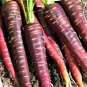 New Imperator-shaped Red Purple Carrot Hybrid 100 PCS Seeds