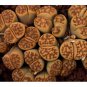 Lithops bromfieldii C368 Succulents Garden Plants 100 PCS Seeds