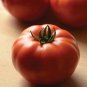 New Genuwine Hybrid Tomato 100 PCS Seeds
