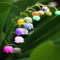 Lily of The Valley Flower Bell Orchid Bonsai Plants 100 PCS Seeds