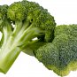Natural Organic Broccoli Vegetable 60 PCS Seeds