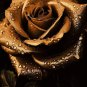 Natural Golden Rose Flower 50 PCS Seeds
