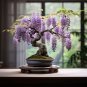 Mixed wisteria bonsai wisteria flower 4 PCS Seeds
