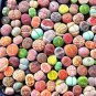 Mixed Many Types of Lithop Living Stones Rich Colorful 1000 PCS Seeds