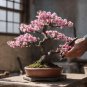 Mixed Japanese Sakura Flores Bonsai Cherry Blossoms 10 PCS Seeds