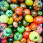 Mixed Heirloom 9 Types Edible Cherry Tomato 100 PCS Seeds