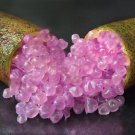 Mixed Finger Lime Green Red Pink Fruit 20 PCS Seeds Mixed Finger Lime Green Red Pink Fruit 20 PCS Seeds