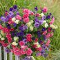 Mixed Double petalled Hanging Petunia Hybrid 200 PCS Seeds
