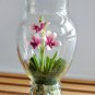 Mini Orchid 100 PCS Seeds