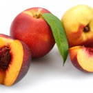 Middle-sized Nectarine Smooth-skinned Peach Fruit 2 PCS Seeds Middle-sized Nectarine Smooth-skinned Peach Fruit 2 PCS Seeds