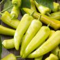 Middle Long Yellow Hot Pepper Chili Vegetable 380 PCS Seeds