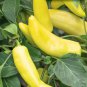 Middle Long Yellow Hot Pepper Chili Vegetable 380 PCS Seeds