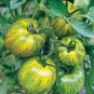Middle Green Tomato with Yellow Stripe Organic 30 PCS Seeds