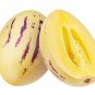 Melon Pepion (Solanium Muricata) Organic Heirloom 20 PCS Seeds