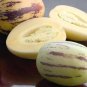 Melon Pepion (Solanium Muricata) Organic Heirloom 20 PCS Seeds