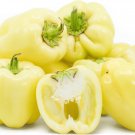 Medium Maturity F1 Hybrid White Sweet Bell Pepper 5 PCS Seeds Medium Maturity F1 Hybrid White Sweet Bell Pepper 5 PCS Seeds