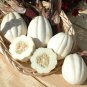 Mashed Potato Squash 50 PCS Seeds