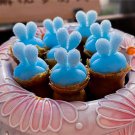 Mini Blue Succlent Monilaria Obconica Rabbit Living Lithops 100 PCS Seeds