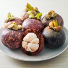Mangosteen Tropical Sour Sweet Fruit Garden Plants Tree Bonsai 50 PCS Seeds Mangosteen Tropical Sour Sweet Fruit Garden Plants Tree Bonsai 50 PCS Seeds
