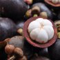 Mangosteen Tropical Sour Sweet Fruit Garden Plants Tree Bonsai 50 PCS Seeds