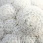 Mammillaria Plumosa Feather Cactus 10 PCS Seeds