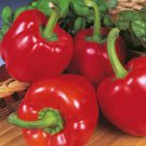 Magical Vegetable 200 PCS Seeds