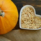 Magic Pumpkin 50 PCS Seeds Magic Pumpkin 50 PCS Seeds