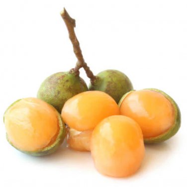 Lemon Sweet Spanish Lime Tree 10 PCS Seeds