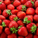 Large-sized Bright Red Cream Red Strawberry 60 PCS Seeds