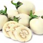 Lao White Eggplant 200 PCS Seeds