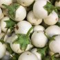 Lao White Eggplant 200 PCS Seeds