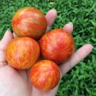 Large Tomato Glowing Gold Neon Red Stripes Fruits 100 PCS Seeds