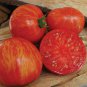 Large Tomato Glowing Gold Neon Red Stripes Fruits 100 PCS Seeds