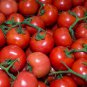Large Tomato Middle Red Truss Plant 100 PCS Seeds