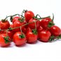 Large Tomato Middle Red Truss Plant 100 PCS Seeds