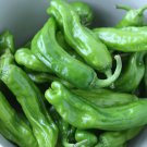 Jintai Thin Skin Early Maturing Big Pepper Vegetables 1000 PCS Seeds Jintai Thin Skin Early Maturing Big Pepper Vegetables 1000 PCS Seeds