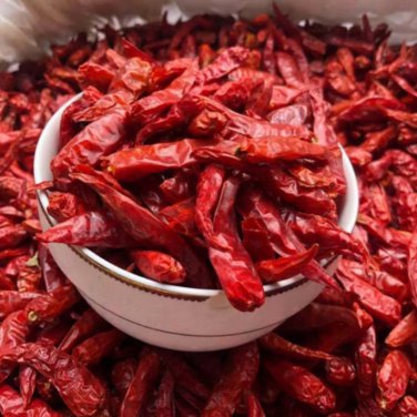 Jintai jin Jiao 1.0 Red Pod Pepper Chili Vegetable 5 PCS Seeds