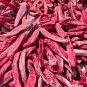 Jintai jin Jiao 1.0 Red Pod Pepper Chili Vegetable 5 PCS Seeds