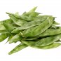 Jinke' Green Hyacinth Bean Organic 15 PCS Seeds