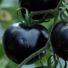 Imported European Black Big Tomato 300 PCS Seeds